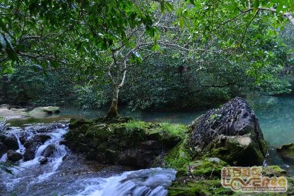 佳木斯机场有单车吗?知识星球平台-专注知识分享与交流